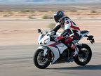 Motorcycle Fairings Decal / Sticker #OYO87914487