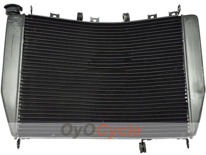 Radiator For Kawasaki 00-03 Ninja ZX-9R #OYO87904522